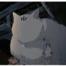 Noctiluca's profile picture