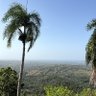 Profilbild von Custom Villas in Dominican Republic