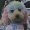 Profilbild von 💭Just Lu 🇦🇷🇦🇷🇦🇷