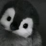 อิย๊าห์ᰔᩚ's profile picture