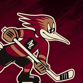 RoadrunnersAHL's profile picture