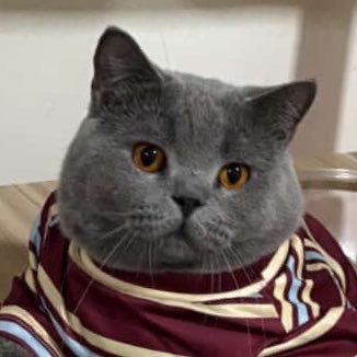พี่เติ้ล ッ's profile picture