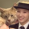 CATSINSANAFEDORALAND profil fotoğrafı