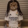 a's profile picture