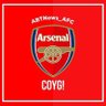 Profilbild von AFC_TransferNews