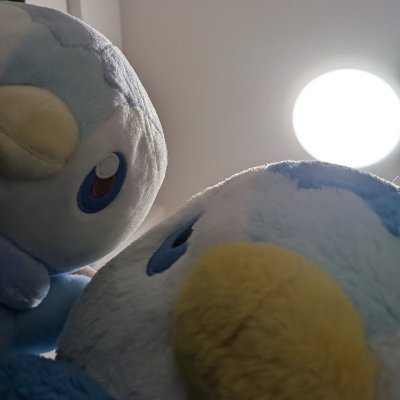 pochamelist's profile picture