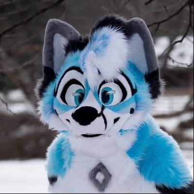 CybrFur's profile picture