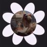 ry ꕤ profil fotoğrafı