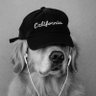 Beekay🧃 profil fotoğrafı