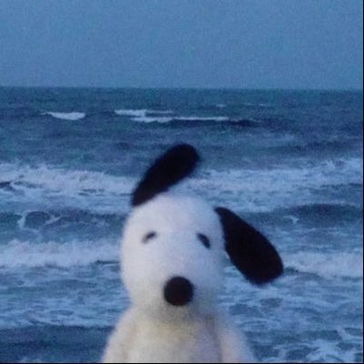 Saturn's profile picture