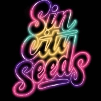 sincity_seeds's profile picture