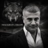 Ferhat's profile picture