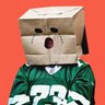 Фото профиля Tormented Jets Fan