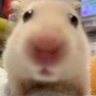 Profilbild von Soulless