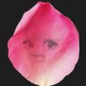 𝓟𝓱𝔁𝓮𝓱𝓲𝓰𝓱𝓽𝓱𝓪𝔀𝓱𝓰𝓱𝓵's profile picture