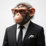 Chimp Capital's profile picture