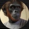 Profilbild von (——)