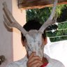 Fernando's profile picture