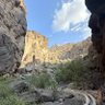 Imad 🇵🇸🇴🇲 profil fotoğrafı