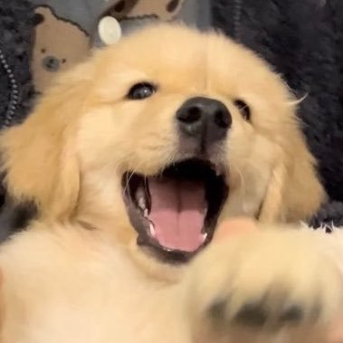 ppurpleur's profile picture