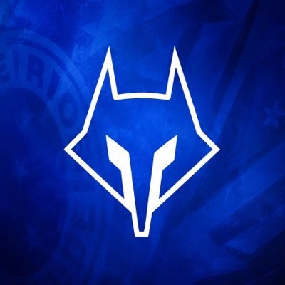 Blog da Raposa 🦊's profile picture