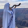 Фото профиля Ramin Parsa