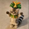 king julien 👑 profil fotoğrafı