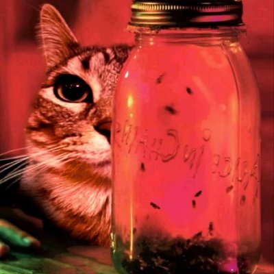 euwillem_'s profile picture