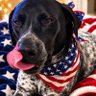 Wildred's profile picture