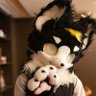 戏秋幽雨's profile picture