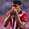🇲🇽(Tetracampeón) profil fotoğrafı