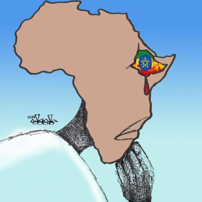 Tseday's profile picture