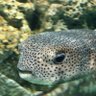 湿気やる気ない profil fotoğrafı