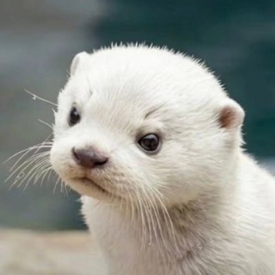 윰윰's profile picture