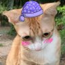 Profilbild von Gameyongx