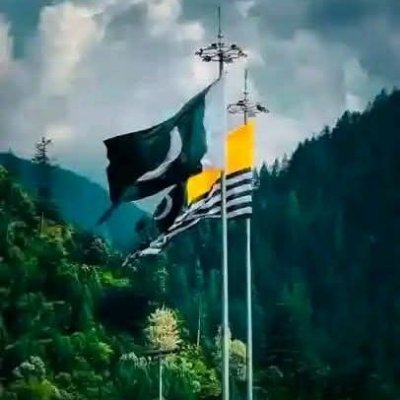 𝐒𝐚𝐢𝐁 𝐒𝐚𝐫𝐝𝐚𝐑's profile picture