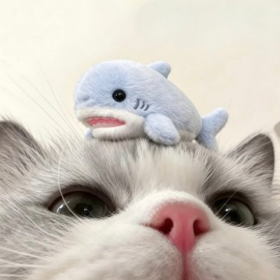 kansuoficial's profile picture