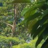 akusiapayak's profile picture