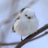美紀 profil fotoğrafı