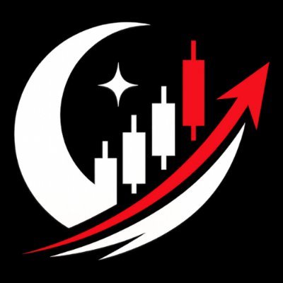 StocksAtNight's profile picture