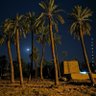 علي الروقي's profile picture