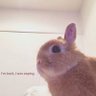 ana's profile picture