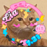 Profilbild von Madetogo