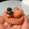Dapper Noodle's profile picture