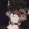 Fabian 18+ 的头像