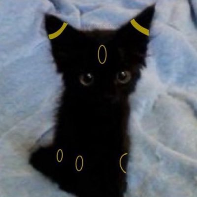 0xXochitl's profile picture