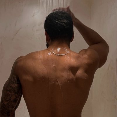 colormeseed's profile picture