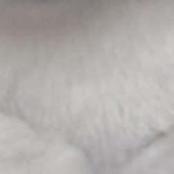 4xzz's profile picture
