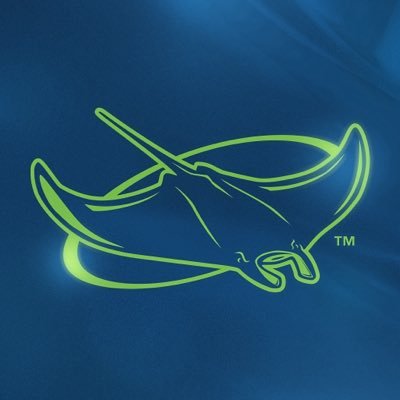 RaysBaseball's profile picture