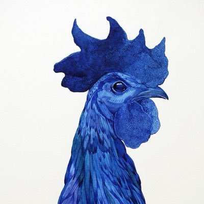 HatchedCrow's profile picture